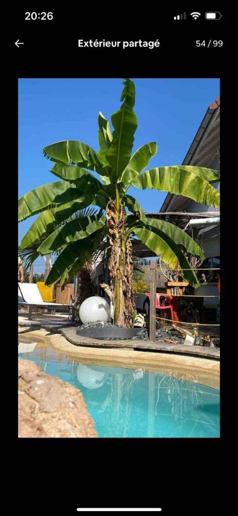 A La Marc'Quize Chambres D'Hotes, Petit Dejeuner Compris, Avec Piscine A Debordement En Exterieur, Bain Nordique A 38 Degres En Prestation Supplement Sur Reservation Horaire Anticipee 1 Place De Parking Gratuite Sur Place Mouxy Εξωτερικό φωτογραφία